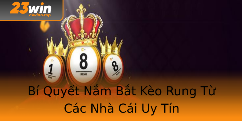 Bí Quyết Nắm Bắt Kèo Rung Từ Các Nhà Cái Uy Tín