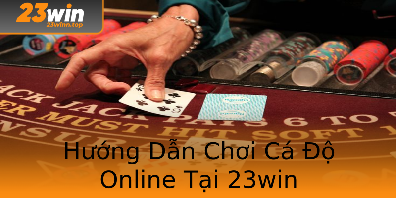 Hướng Dẫn Chơi Cá Độ Online Tại 23win