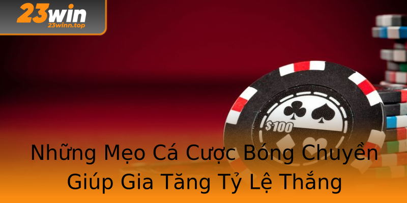 Những Mẹo Cá Cược Bóng Chuyền Giúp Gia Tăng Tỷ Lệ Thắng