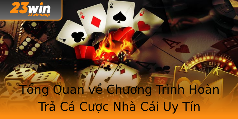 Tổng Quan về Chương Trình Hoàn Trả Cá Cược Nhà Cái Uy Tín