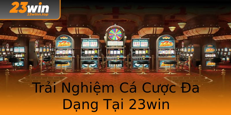 Trải Nghiệm Cá Cược Đa Dạng Tại 23win