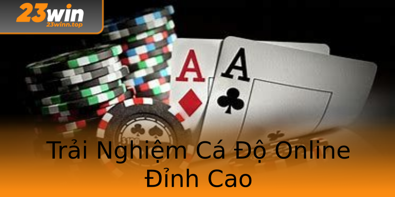 Trải Nghiệm Cá Độ Online Đỉnh Cao